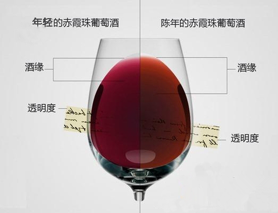 葡萄酒顏色